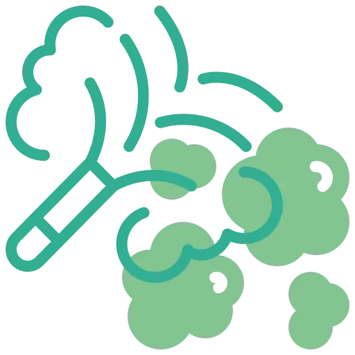 duster.webp